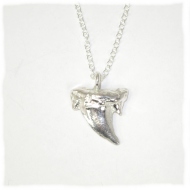Small silver shark's tooth pendant